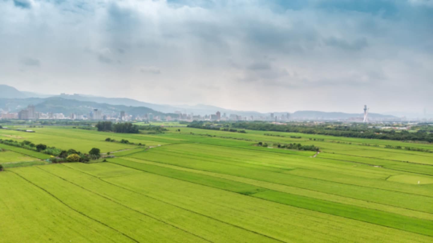 Isabelle Wincent : Thérapie individuelle, conjugale et sexothérapie