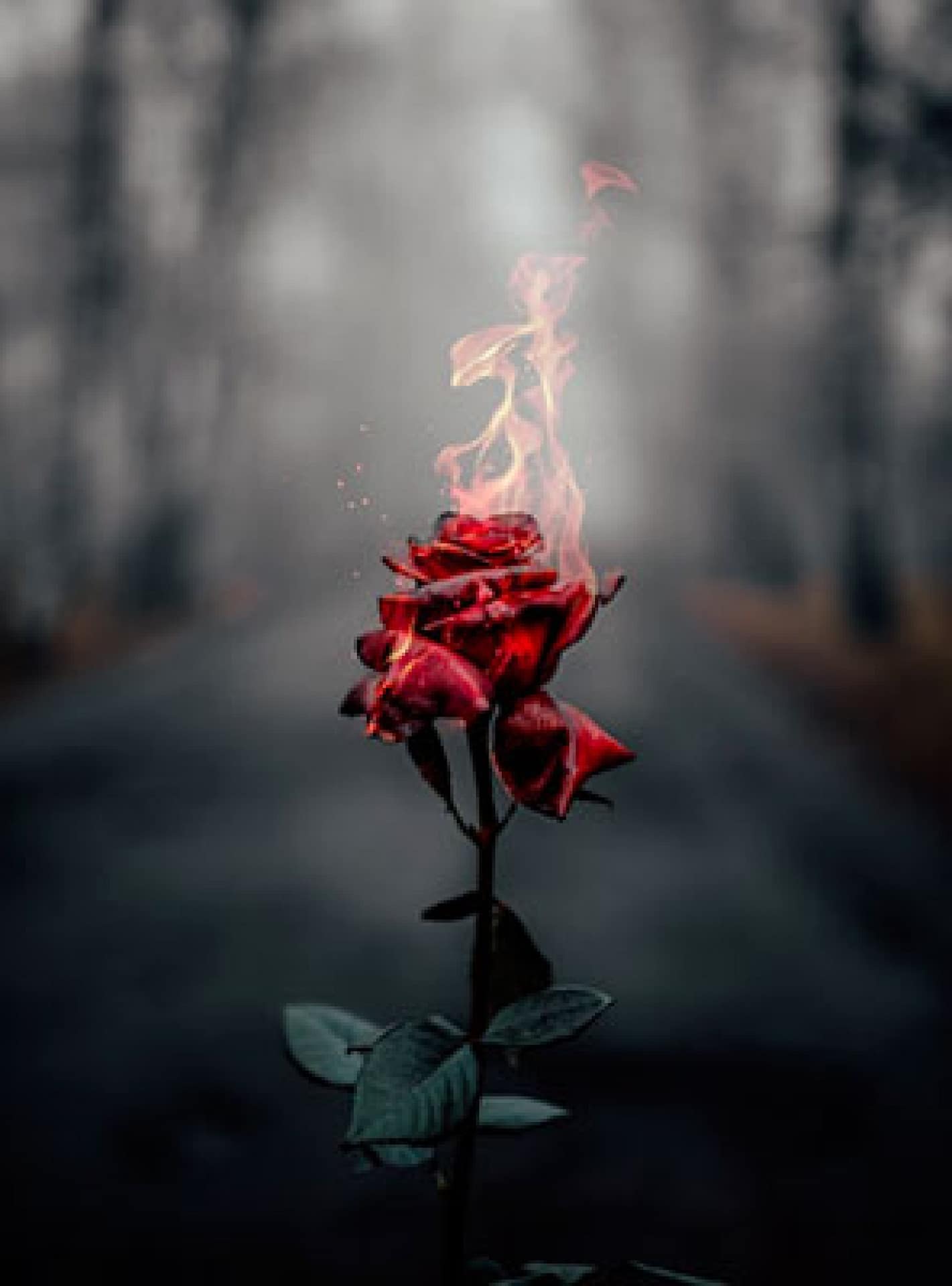 Décodage biologique* et Kinésiologie